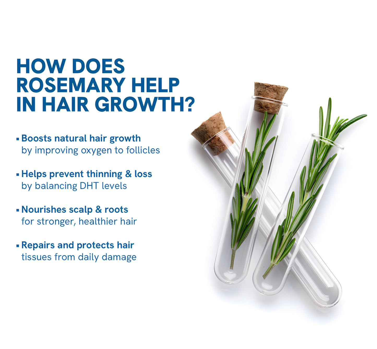 Avenor™ Follicle Support Serum